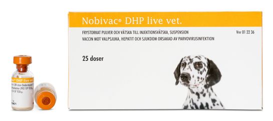 Nobivac DHP live vet. Frystorkat pulver och vätska till injektionsvätska, suspension 25 x 1 dos(er)