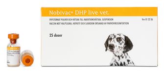 Nobivac DHP live vet. Frystorkat pulver och vätska till injektionsvätska, suspension 25 x 1 dos(er)