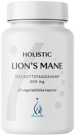 Holistic Lion´s Mane 60 Vegetabiliska Kapslar Kosttillskott 60 st