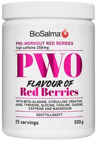 BioSalma PWO Red Berries Pulver 500 st