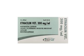 Ethacilin vet. 300 mg/ml Bensylpenicillinprokain, Injektionsvätska, suspension, 12 x 100 milliliter