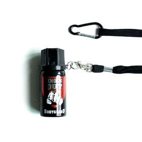 Bodyguard Halsrem Halsrem 1 st