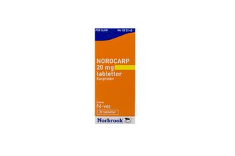 Norocarp 20 mg Carprofen, Tablett, 20 styck