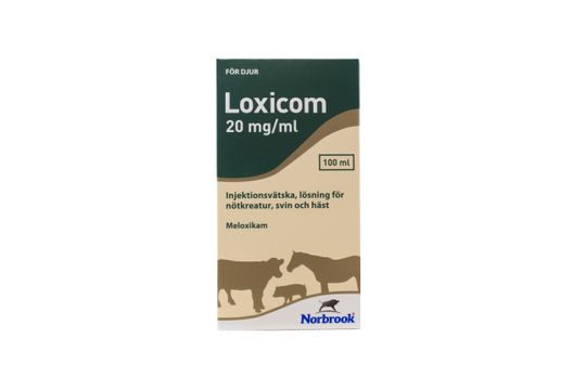 Loxicom Injektionsvätska, lösning 20 mg/ml 100 milliliter