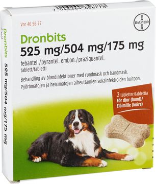 Dronbits 525 mg/504 mg/175 mg För hund Tablett, 2 st