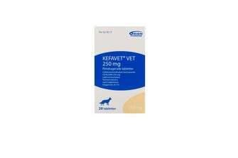Kefavet vet 250 mg Cefalexin, Filmdragerad tablett, 28 styck