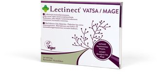 Lectinect Mage Tabletter 30 st