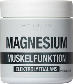 WellAware Magnesium Tablett, 210 st