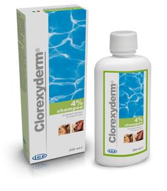 ICF Clorexyderm Shampoo 4% Schampo för djur 250 ml