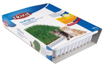 Trixie Mjukt kattgräs Odlingslåda Kattgräsfrön och odlingslåda, 100 g